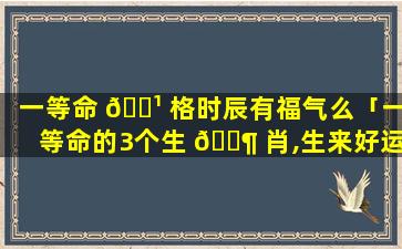 一等命 🌹 格时辰有福气么「一等命的3个生 🐶 肖,生来好运,一生顺利」